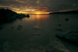 Mossyard Sunset # 1